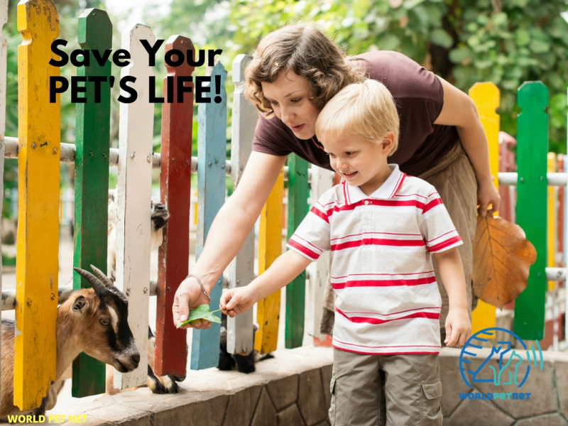 Înregistrarea în WPN a animalelor cipate din rasa